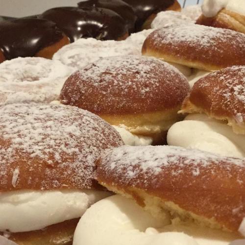 A close-up of powdered sugar donuts filled with cream, with chocolate-covered donuts in the background.