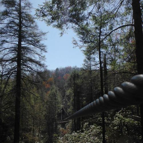 A cable stretches through a forest, leading towards a distant hillside with trees and a clear blue sky above.