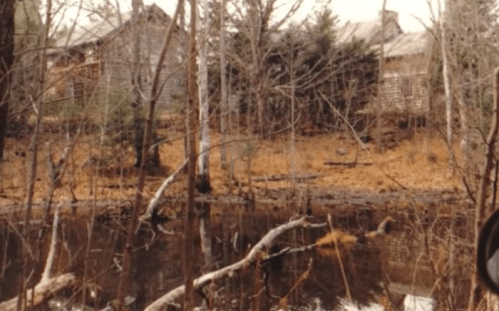A serene landscape featuring a calm water body surrounded by trees and rustic buildings in a wooded area.
