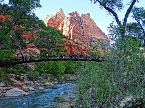 A scenic view of a bridge over a river, surrounded by lush greenery and towering red rock formations in Zion National Park.