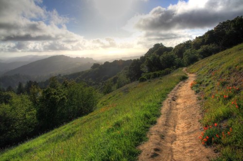 A winding dirt path through a lush green landscape, with rolling hills and a cloudy sky in the background.