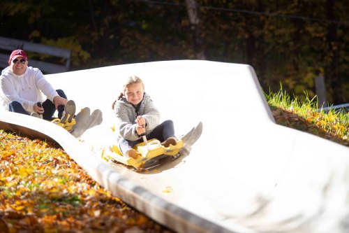 A man and a girl enjoy a ride on a luge slide surrounded by autumn leaves.