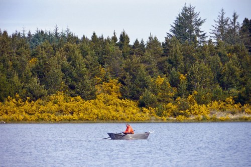 A person in an orange jacket rows a small boat on a calm lake, surrounded by lush green trees and yellow foliage.