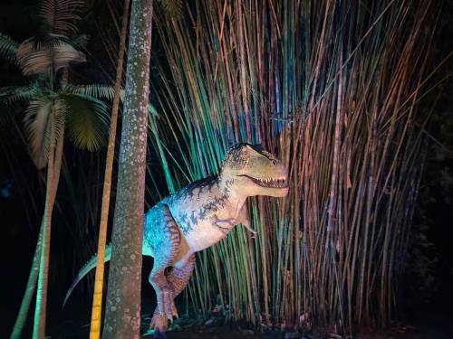 A lifelike dinosaur model, resembling a T-Rex, stands among tall bamboo plants illuminated by colorful lights.