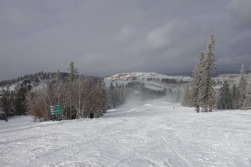 A snowy landscape with trees, a ski slope, and distant hills under a cloudy sky. Snow is blowing in the air.