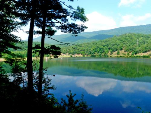 A serene lake surrounded by trees and mountains, reflecting the blue sky and clouds on its calm surface.
