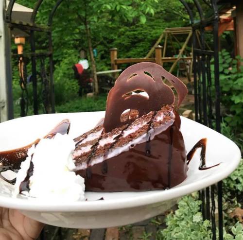 A slice of chocolate cake topped with chocolate drizzle and a decorative chocolate piece, served with whipped cream.