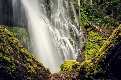 A serene waterfall cascades down moss-covered rocks, surrounded by lush greenery in a tranquil forest setting.