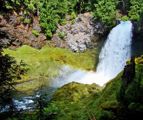 A vibrant waterfall cascades over rocky terrain, surrounded by lush green foliage and mist rising from the water.