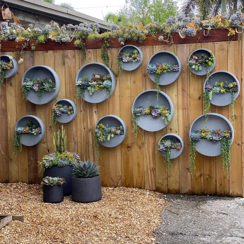A wooden wall adorned with circular planters filled with colorful succulents, surrounded by gravel and greenery.