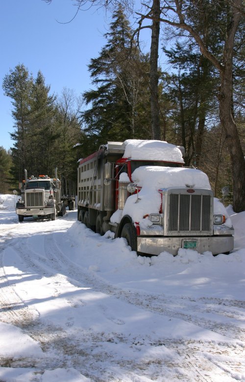 Two large trucks covered in snow parked on a snowy road, surrounded by trees in a winter landscape.