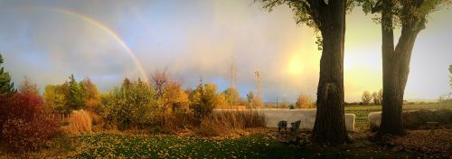A serene landscape featuring trees, colorful autumn foliage, and a rainbow against a cloudy sky.