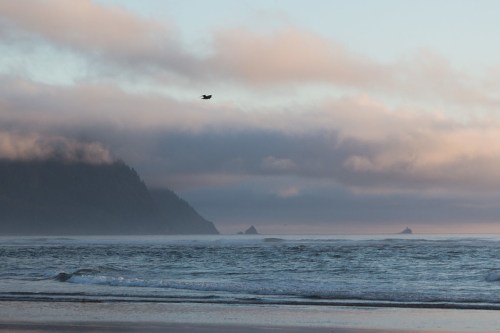 A serene coastal scene with gentle waves, misty mountains, and a bird flying over the water at dawn.