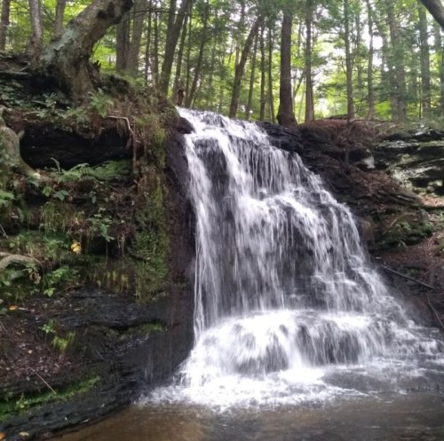 A serene waterfall cascading over rocky terrain, surrounded by lush green trees in a tranquil forest setting.