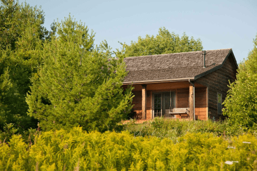 A rustic wooden cabin surrounded by lush greenery and trees under a clear blue sky.