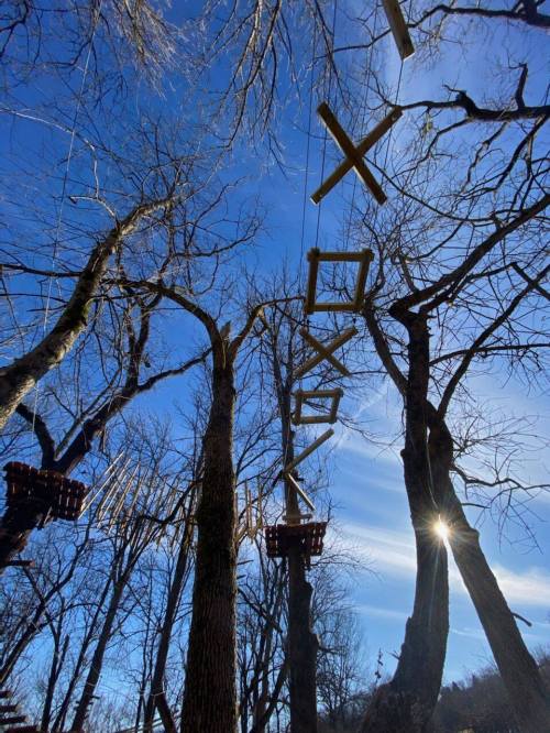 A treetop adventure course with wooden platforms and ropes, set against a clear blue sky and sunlit trees.