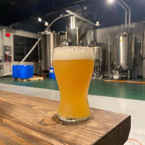 A glass of beer sits on a wooden table, with brewing equipment visible in the background.