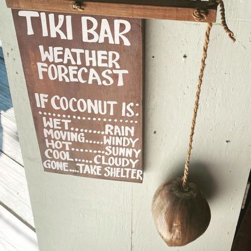 A wooden sign at a tiki bar displaying a humorous weather forecast using a coconut as a weather indicator.
