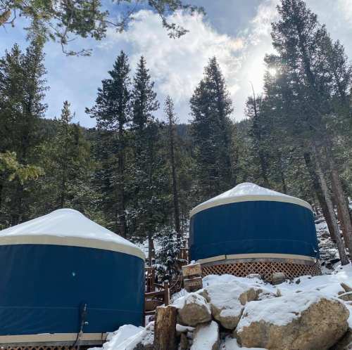 Two blue yurts covered in snow, surrounded by tall evergreen trees under a bright sky.