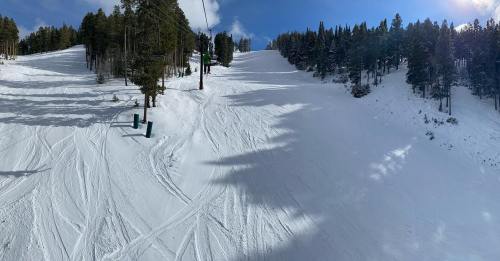 A snowy ski slope surrounded by tall pine trees under a clear blue sky. Ski tracks are visible on the fresh snow.