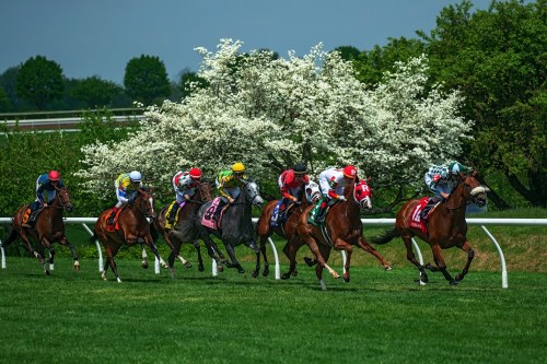 A group of racehorses and jockeys compete on a grassy track, with blooming trees in the background under a clear blue sky.
