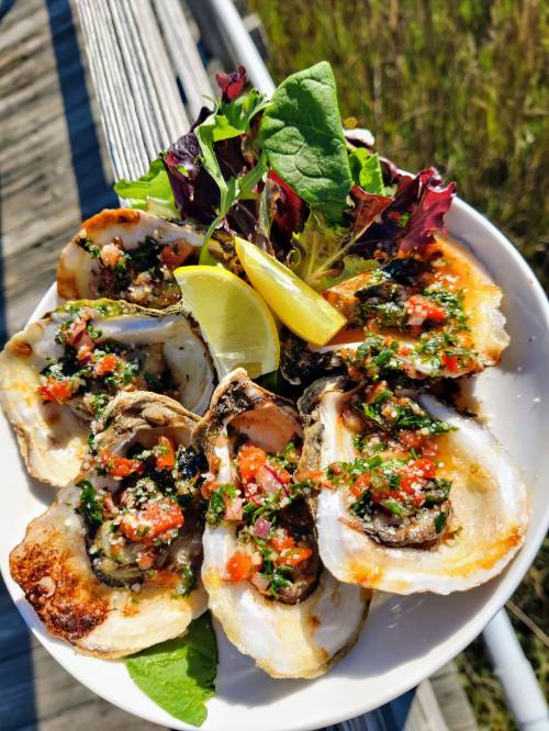 A plate of grilled oysters topped with herbs, diced tomatoes, and lemon, garnished with fresh greens.