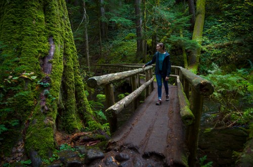 A person walks on a wooden bridge in a lush, green forest surrounded by tall trees and moss-covered ground.
