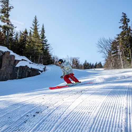 A skier in a white jacket and red pants carves down a snowy slope surrounded by trees under a clear blue sky.