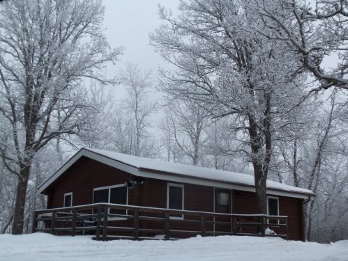 A cozy brown cabin surrounded by snow-covered trees on a foggy winter day.