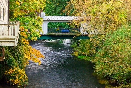 A serene river scene with a bridge and a bench, surrounded by lush greenery and autumn-colored trees.