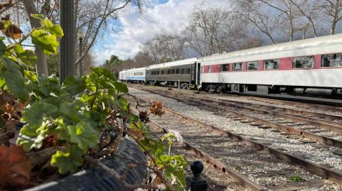 A train on tracks beside a planter with green leaves, under a partly cloudy sky.