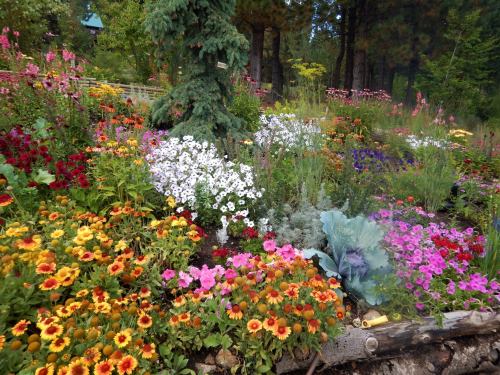 A vibrant garden filled with colorful flowers, including daisies, petunias, and marigolds, surrounded by greenery.