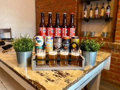 A selection of craft beers in bottles and cans, with tasting glasses on a rustic table, surrounded by small potted plants.