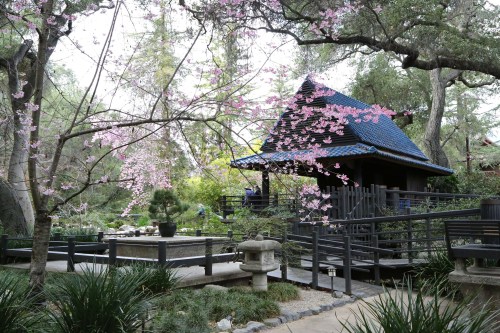 A serene garden scene featuring a traditional building, cherry blossoms, and a stone lantern surrounded by greenery.
