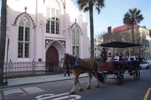 A horse-drawn carriage passes by a pink Gothic-style church with palm trees lining the street.