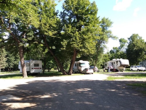 A campsite with several RVs parked under large trees, surrounded by green grass and a clear blue sky.