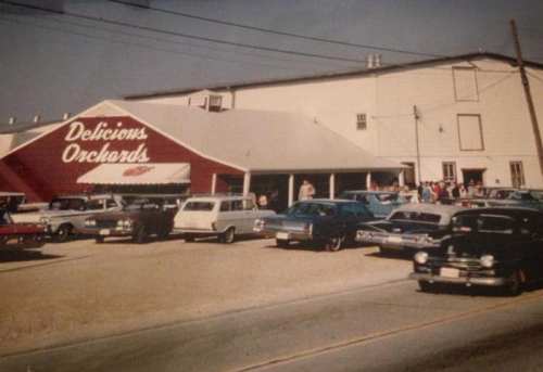 A vintage scene of a busy orchard with classic cars parked outside a red barn-style building.