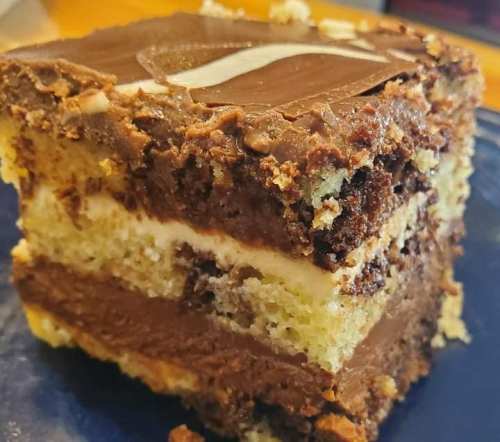 A slice of layered chocolate cake with creamy frosting and a rich, textured surface on a blue plate.