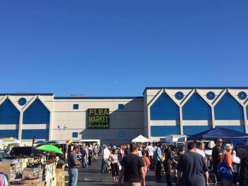 A bustling flea market scene with vendors and shoppers under a clear blue sky, featuring a large building in the background.