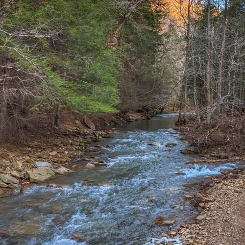 A serene river flows through a wooded area, surrounded by trees and rocky banks, under soft evening light.