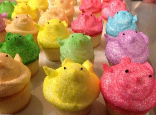 Colorful cupcakes topped with fluffy, glittery chick decorations in various pastel shades.