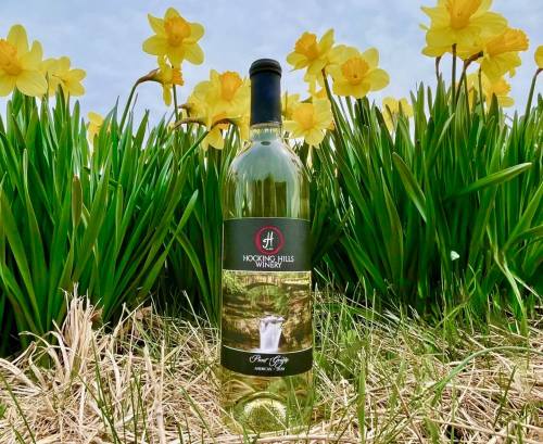 A bottle of Hocking Hills Winery wine surrounded by vibrant yellow daffodils in a grassy field.