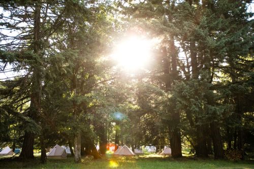 Sunlight filters through tall trees, illuminating a serene campsite with tents nestled in a lush green forest.