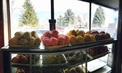 A display case filled with colorful conchas, a traditional Mexican sweet bread, with trees and cars visible outside.