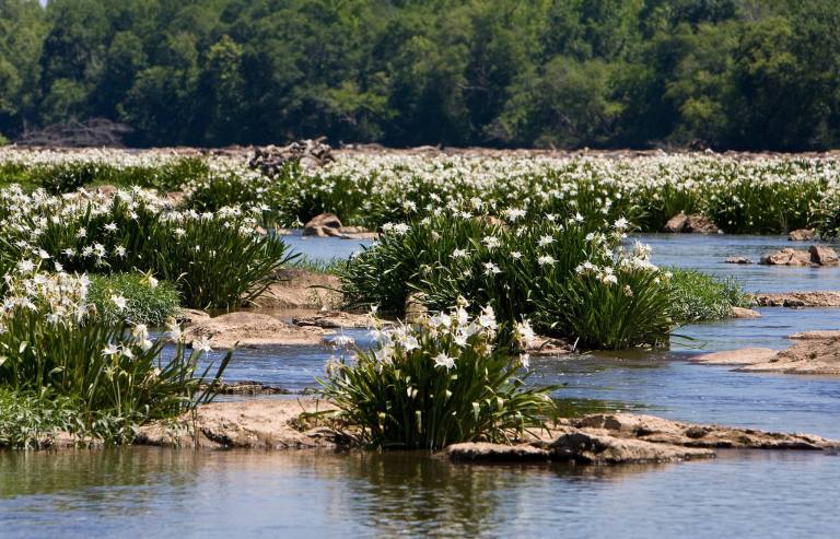 Spring Waters And Wild Solitude At Lake Jocassee