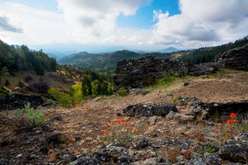 A scenic view of rolling hills and rocky terrain, dotted with vibrant orange flowers under a partly cloudy sky.