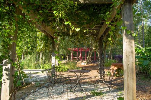 A serene garden scene featuring a wooden pergola draped in greenery, with a small table and chairs beneath it.