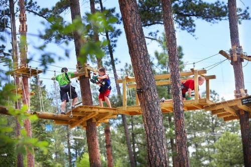 Three children navigate a treetop obstacle course among tall trees on a sunny day.