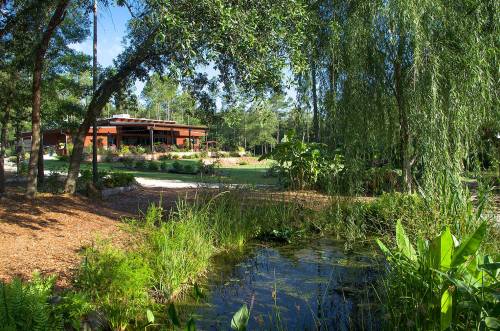 A serene landscape featuring a pond, lush greenery, and a modern building surrounded by trees and plants.