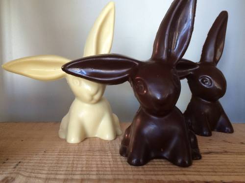 Three chocolate bunnies in white, milk, and dark chocolate, sitting on a wooden surface against a light background.